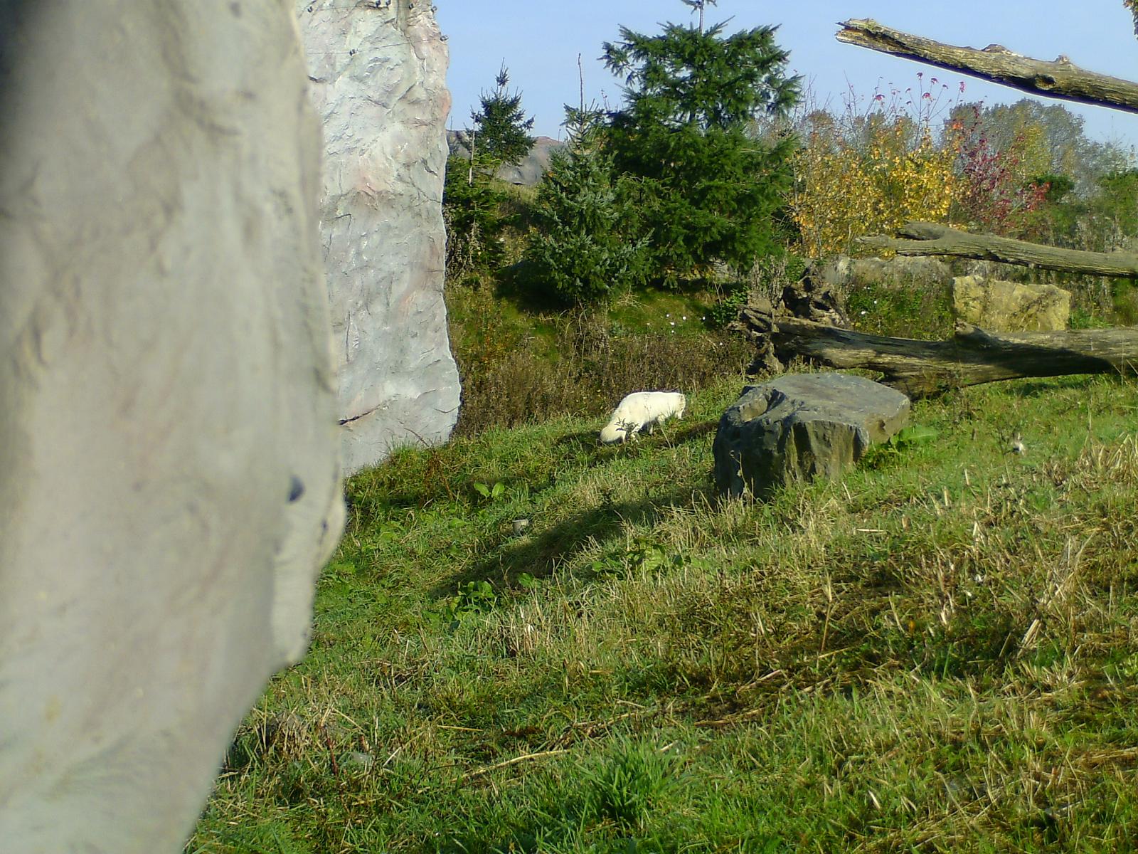 Zoom 18.10.08-021.jpg